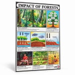Impacts of Forests Chart